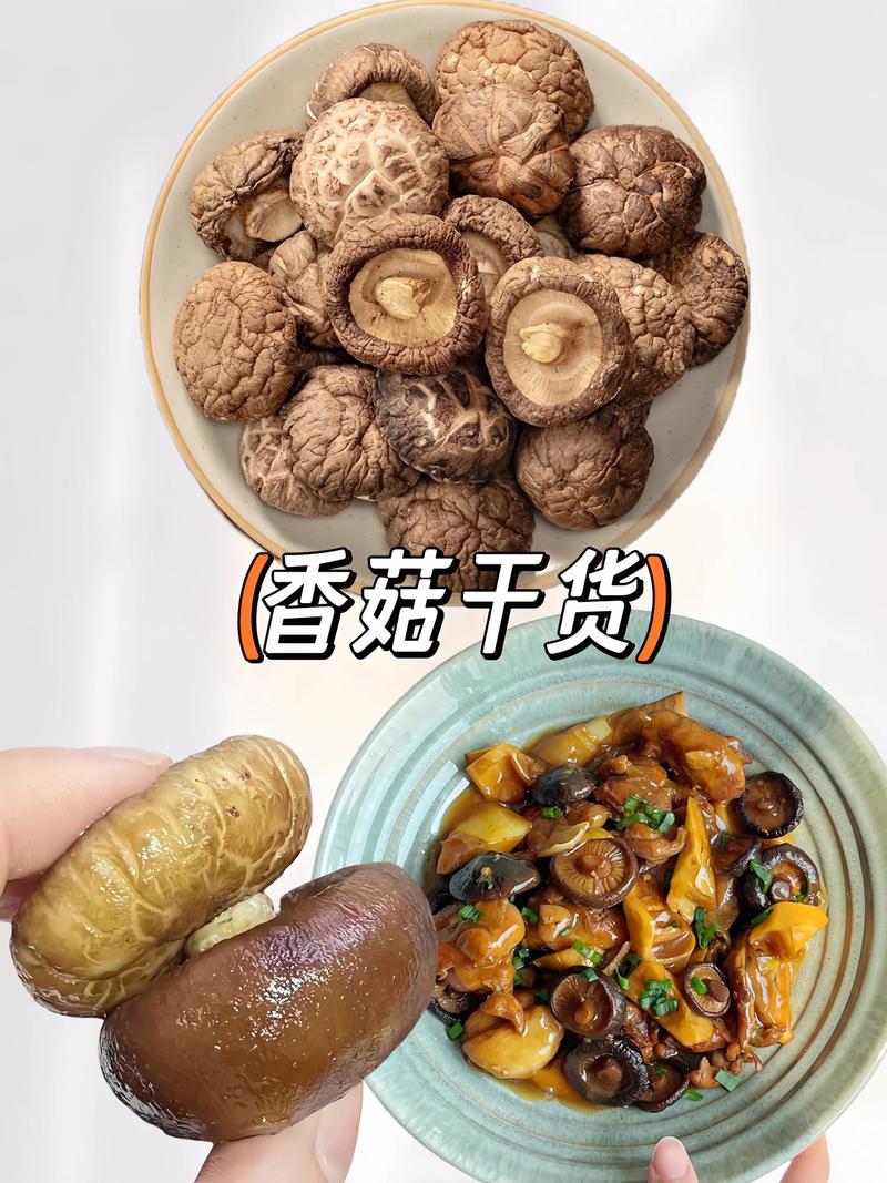 灵芝孢子粉:大自然的馈赠